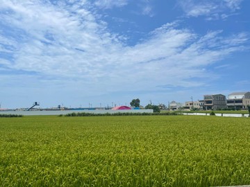 昕選好屋❤大甲地形方正美農地｜台中市大甲區順帆段