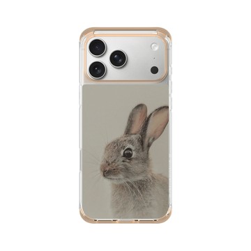 iPhone 17 Pro Max ClearX (MagSafe 兼容) 暖透橘 - Alexis Rateau - 穴兔