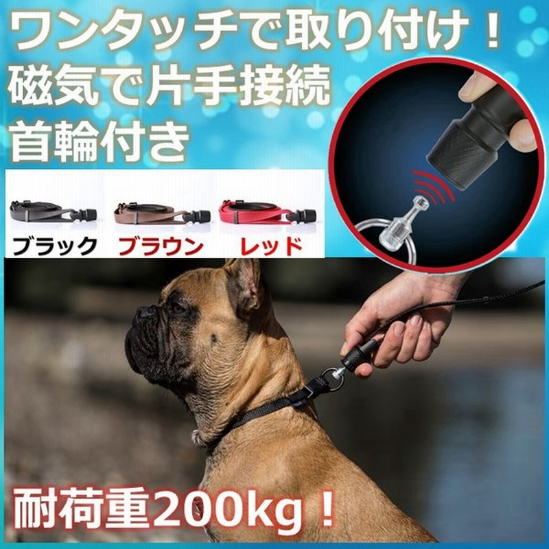 小型犬 中型犬 大型犬 リード 首輪 ハーネス Goleygo2 0 3点セット 通販 Lineポイント最大get Lineショッピング