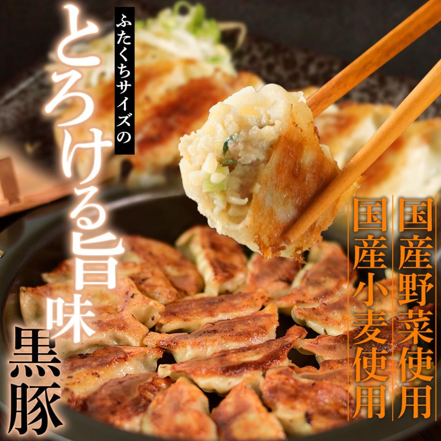 餃子 ぎょうざ 冷凍 鹿児島 ビッグファイブ 黒豚 豚肉 送料無料 生餃子 無添加 