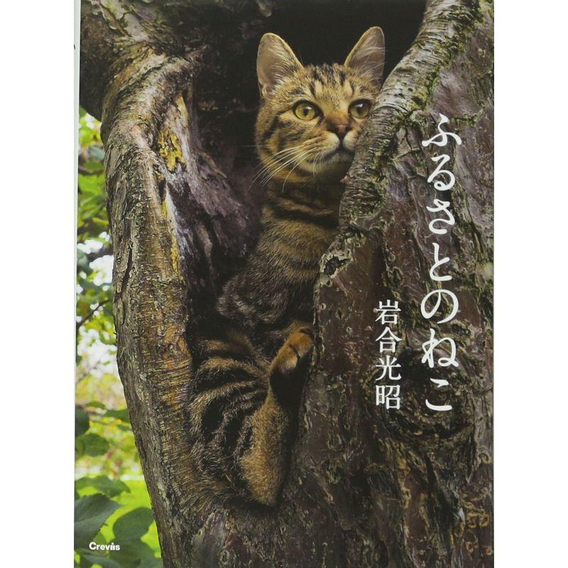 写真文庫 ふるさとのねこ