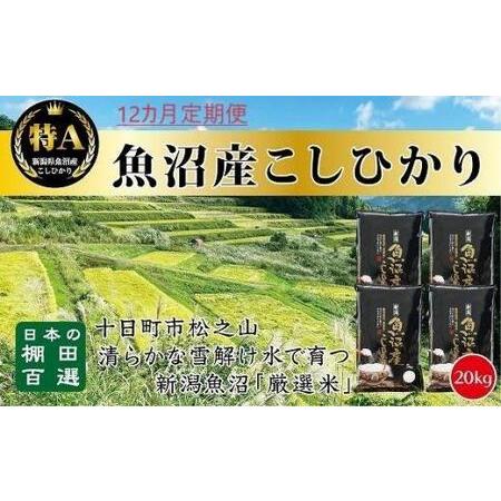 ふるさと納税 「12カ月定期便」日本棚田百選のお米　天空の里・魚沼産こしひかり　２０ｋｇ（５ｋｇ×４）×１２回 新潟県十日町市