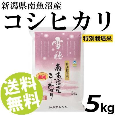 お米 5kg 白米 コシヒカリ 雪穂 南魚沼産 精白米 特別栽培米 送料無料 贈答品 お取り寄せ