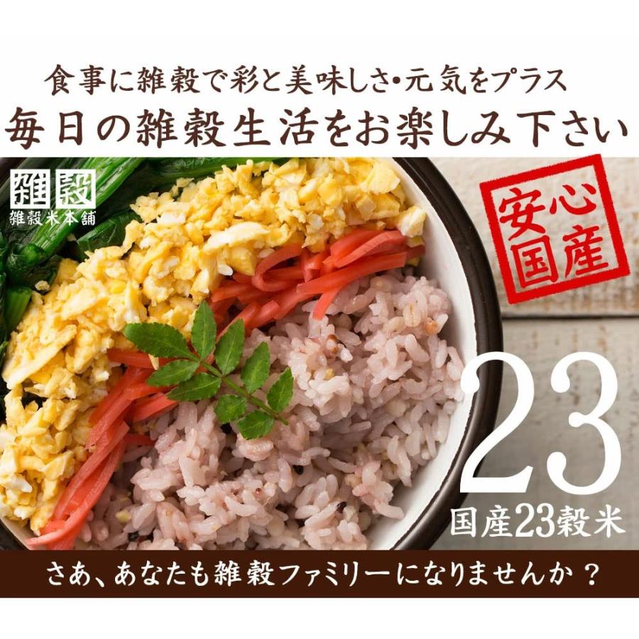 雑穀米本舗 国産 栄養満点23穀米 900g(450g×2袋) 無添加 無着色 雑穀 雑穀米