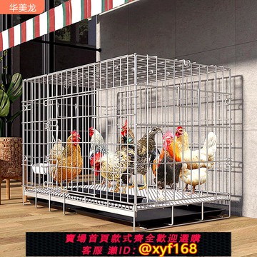 {可打統編 保固一年}雞籠子家用室外大號農村專用養雞籠自動清糞鴿子養殖籠加密鐵絲網
