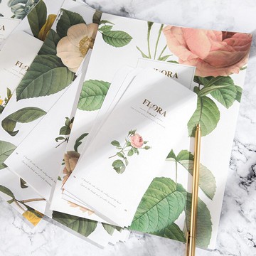 拾光信紙信封套裝古風北冥美鹿貓咪龍貓花卉和風堇色夜光情書信箋