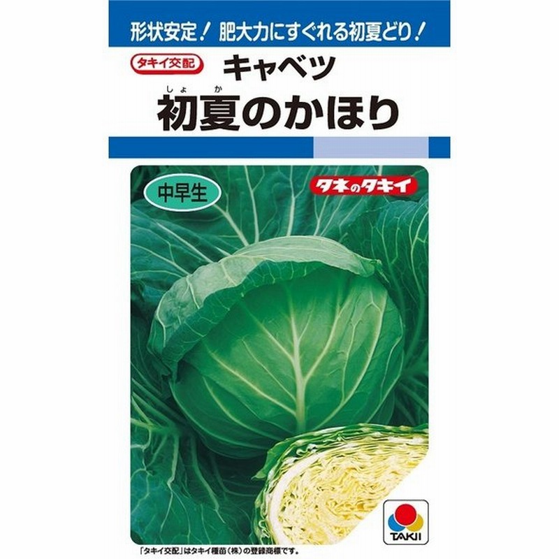 初夏のかほり キャベツ種子 ２０００粒 タキイ種苗 通販 Lineポイント最大0 5 Get Lineショッピング