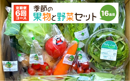  季節の果物と野菜セット 16品目