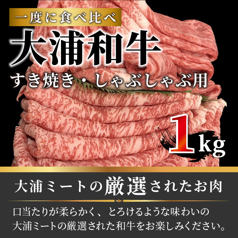 大浦和牛すきやき・しゃぶセット（1kg）