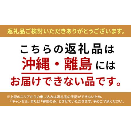 ふるさと納税 手づくり杵つき餅(白餅) 4切×8 新潟県新潟市