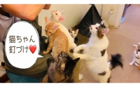 FB096 　猫の無添加おやつ☆天然いのししジャーキー4個