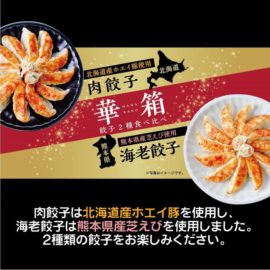 カラフル点心セット ／  送料無料（沖縄別途送料） 年末だけの特別セットをご用意いたしました。 餃子工房 ロン みまつ食品