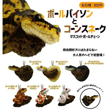 全套6款 球蟒與玉米蛇 珠鍊吊飾 扭蛋 轉蛋 吊飾 qualia370728