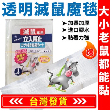 【買十送一 臺灣現貨】透明版滅鼠長魔毯 進口膠水 粘鼠貼 滅鼠 黏鼠闆 老鼠闆 捕老鼠 老鼠闆 抓老鼠 老鼠貼 老鼠板子