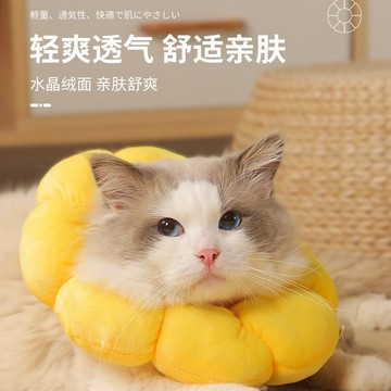 寵物項圈 圈貓咪貓頭套絕育防舔美容伊麗莎白頭套寵物項圈
