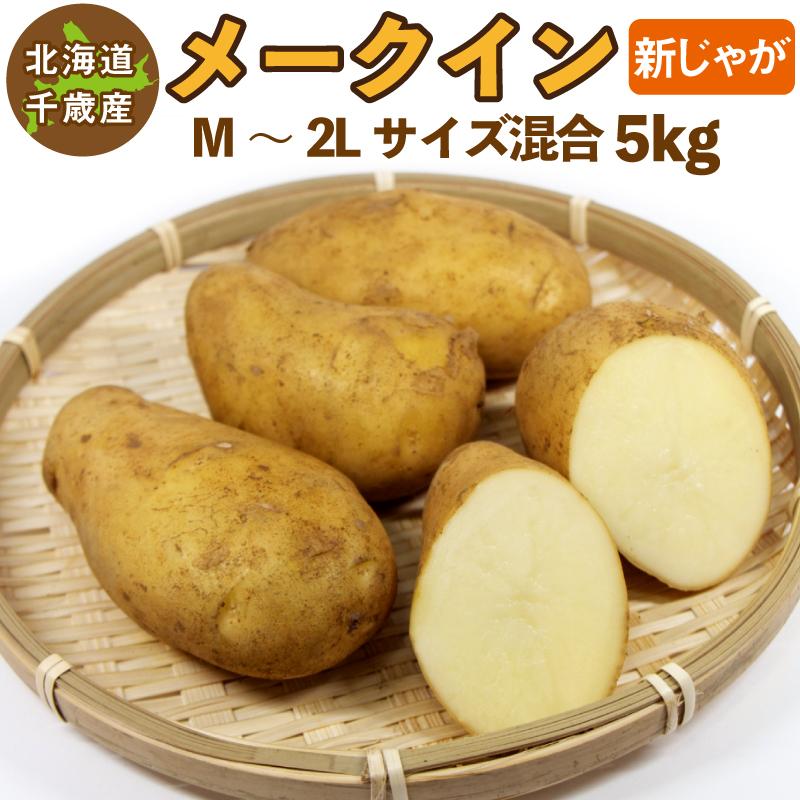 北海道産 メークイン 新じゃが Ｍ〜２Ｌサイズ混合 5kg  じゃがいも ジャガイモ 送料無料 訳あり