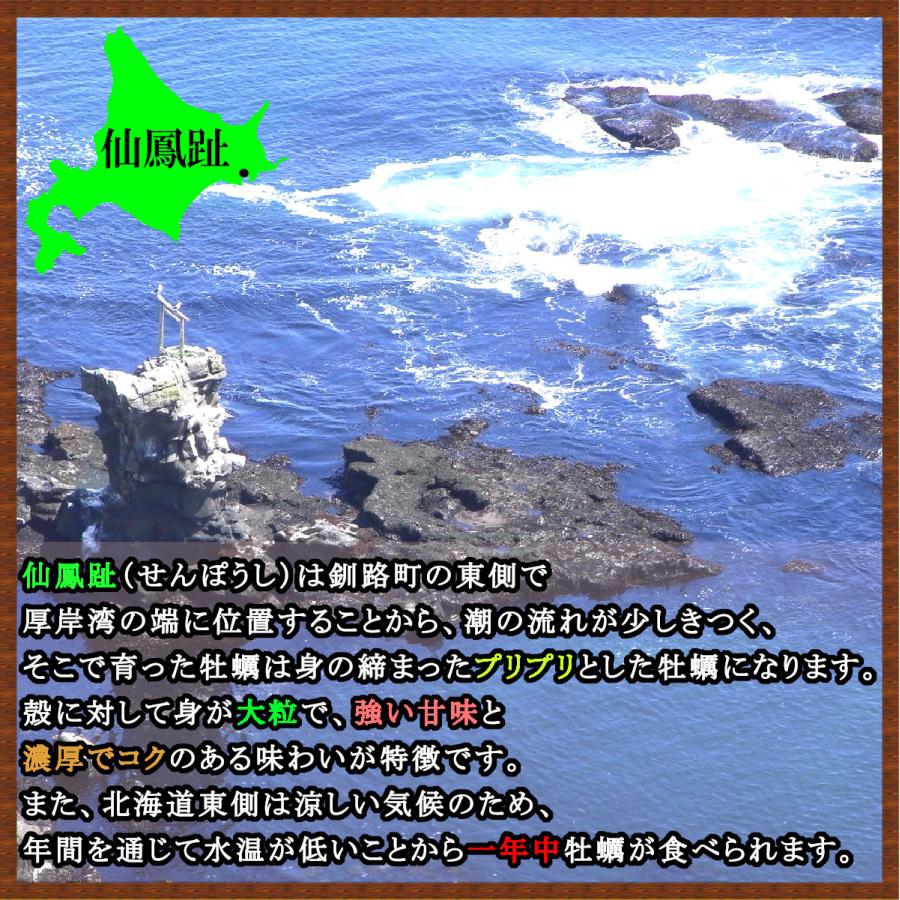 北海道仙鳳趾 殻牡蠣 Mサイズ30個入 むき牡蠣 500g(25玉前後)×2ｐｃセット 牡蠣通販 牡蠣 海鮮 牡蠣 ギフト 牡蠣 生 牡蠣 殻付き 御歳暮 牡蠣 お取り寄せ牡蠣