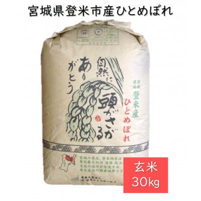 ふるさと納税 登米市 令和5年産　宮城県登米市産ひとめぼれ(玄米)30kg