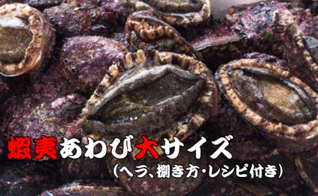 三陸の希少な海鮮、高級あわび大サイズ！天然蝦夷あわびパック