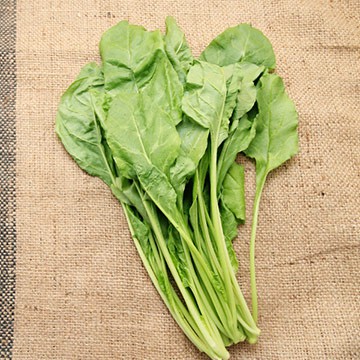 【拈花微笑】白茄茉｜種子｜8g｜非基因改造種子｜蔬菜｜蔬果｜有機無毒｜高發芽率