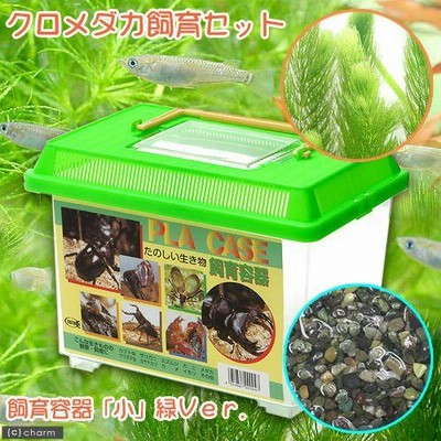 めだか飼育係様ご相談商品