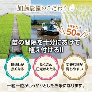 ふるさと納税 SE0192　令和5年産 無洗米 雪若丸　5kg×6回(計30kg)「農家直送」 KA 山形県酒田市