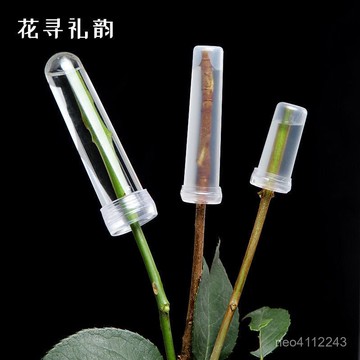 小🐑甄選🐑鮮花材料洋蘭管花束保鮮營養管保水透明管花藝花店用品網紅夜市 ZJFB