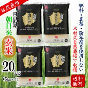 玄米 20kg 朝日 木村式 自然栽培 岡山県産  ギフト 贈り物 プレゼント 送料無料