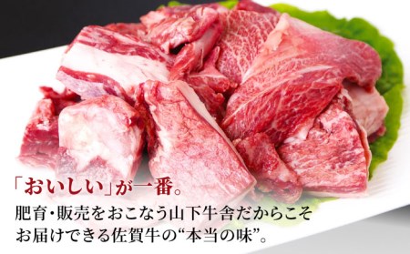 佐賀牛 牛すじ 600g（300g×2パック）黒毛和牛 牛肉 牛スジ [HAD133]