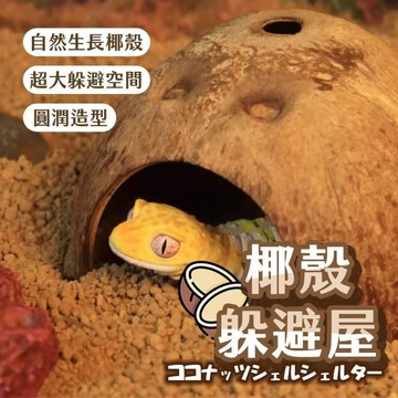 挑戰最低價 椰殼躲避屋 台灣發票現貨 躲藏窩 守宮 椰子殼 陸龜 烏龜 爬蟲 爬寵 蜘蛛 蜥蜴 兩棲 角蛙 天然椰殼