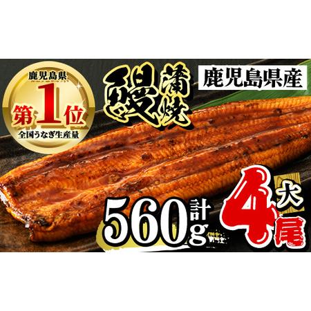 ふるさと納税 鹿児島県産 うなぎ蒲焼 大 4尾セット 鰻蒲焼 計約560g(約140g×4尾) タレ・山椒付き 鰻 ウナギ 国産【おおさき町鰻加工組合.. 鹿児島県曽於市