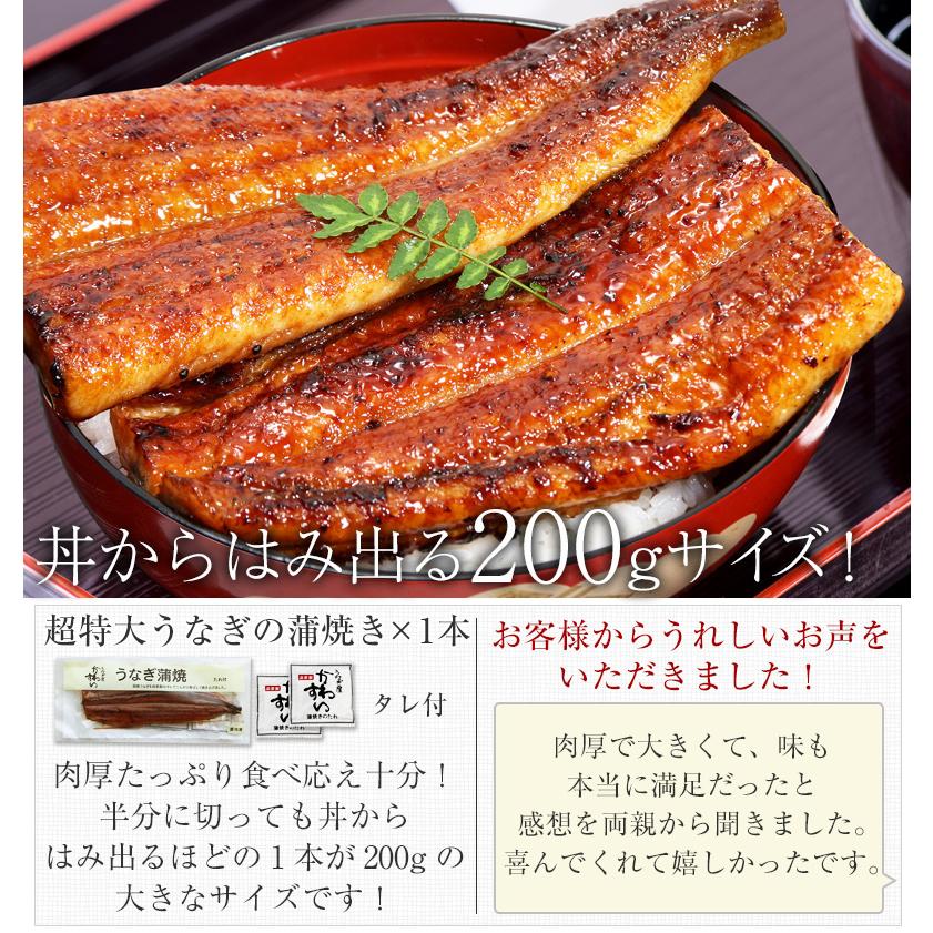 お歳暮 御歳暮 ギフト うなぎ 蒲焼き 国産 超特大うなぎ1本ときざみ2食 ウナギ 鰻 蒲焼 送料無料