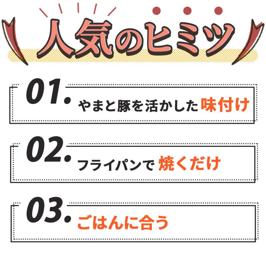 やまと豚 味付け肉 3点セットA NS-C [冷蔵] 送料無料 お歳暮 御歳暮 2023 肉 食品 内祝い ギフト 食べ物 豚肉 お取り寄せグルメ セット 味噌漬け グルメ