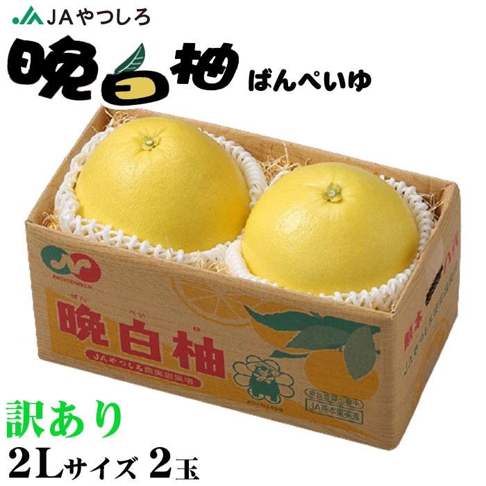 お歳暮 みかん 晩白柚 ばんぺいゆ 訳あり 2Lサイズ 2玉 熊本県産 JAやつしろ 化粧箱入り 柑橘　蜜柑 ギフト お取り寄せ