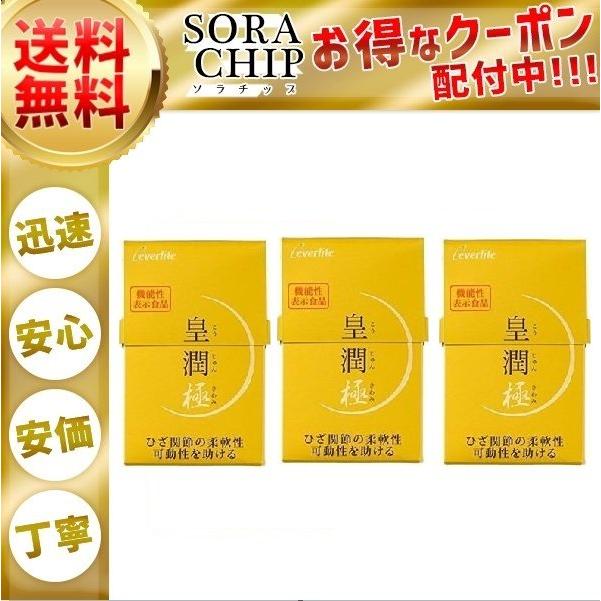 560粒SET】エバーライフ 皇潤極 100粒入り5箱 尋ね + 30