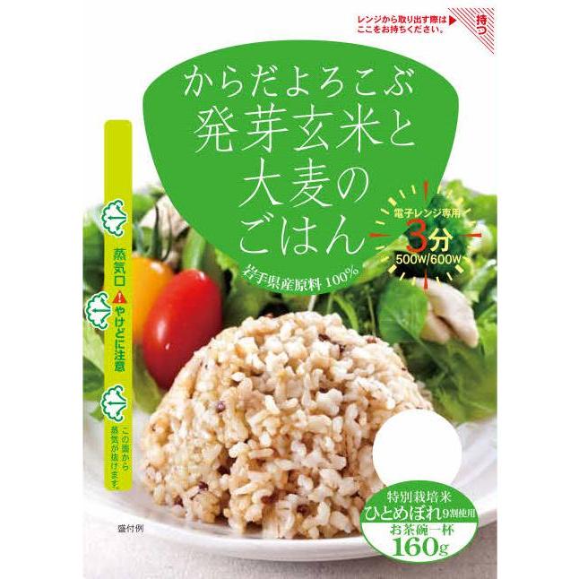 パックご飯 雑穀 発芽玄米ごはん 160g×6袋セット (9種雑穀・黒米・大麦 3種×各2袋)　国産 送料無料レンジご飯 レトルト