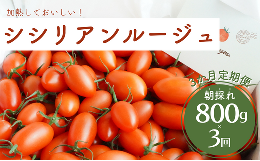 げんき農場の朝採れシシリアンルージュ 800g×3回