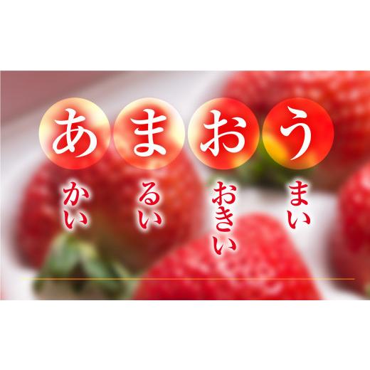 ふるさと納税 福岡県 宇美町 福岡産あまおう24-30粒ギフト 先行予約※2023年11月下旬〜2024年4月上旬にかけて順次発送予定　AX016