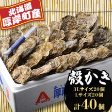 厚岸産 殻かき3L20個・L20個セット