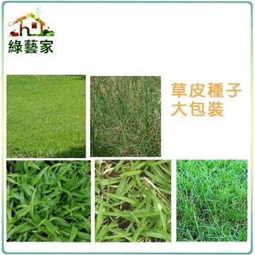 【綠藝家】各種草皮種子│百喜草.百慕達草.類地毯草.四季春.馬蹄金(金錢草).達冠草.假儉草.高品