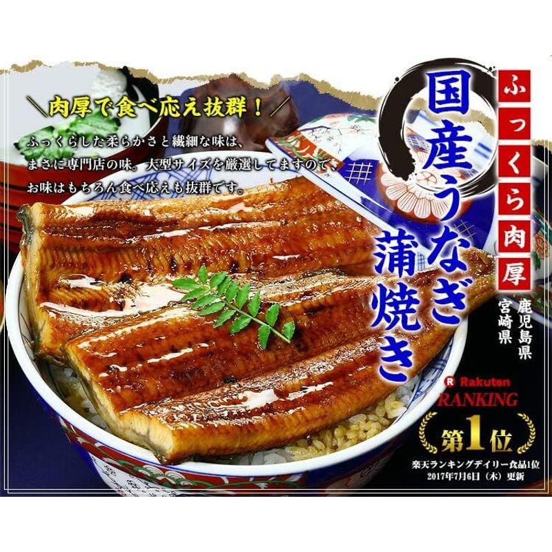 父の日 ギフト 甲羅組 国産 うなぎ 蒲焼き 2尾入り （180g前後×2尾） 特大サイズ 鹿児島県・宮崎県産