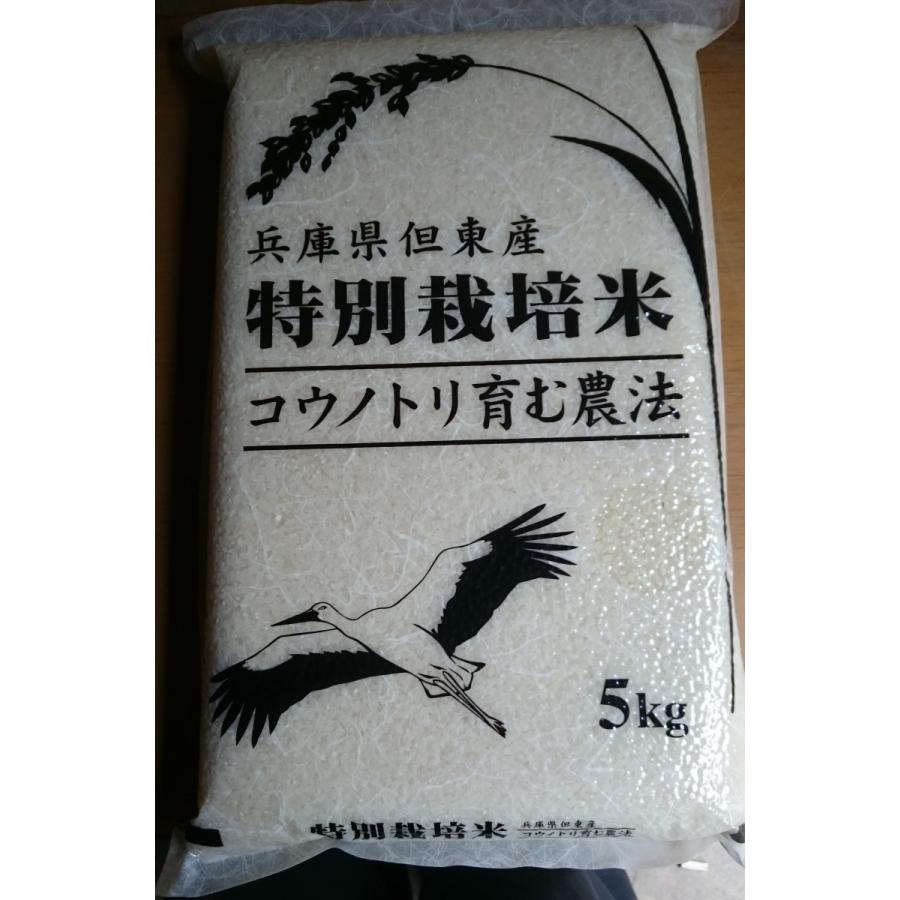 訳あり　令和5年産　中米白米　コシヒカリ10ｋｇ　　数量限定