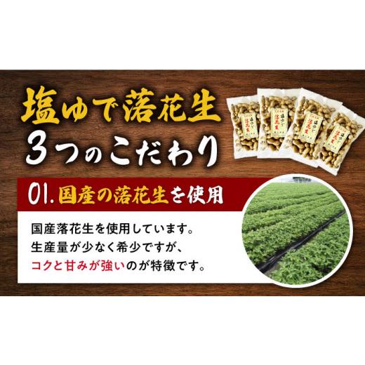 ふるさと納税 長崎県 大村市 塩ゆで落花生 合計約2000g（500g×4袋）約2kg 大村市 浦川豆店 [ACAB107]