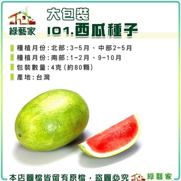 【綠藝家】大包裝I01.西瓜種子4克(約80顆)