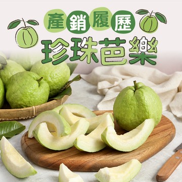 【享吃美味】產銷履歷珍珠芭樂 (5台斤±10%/箱) 免運組 番石榴/台灣水果