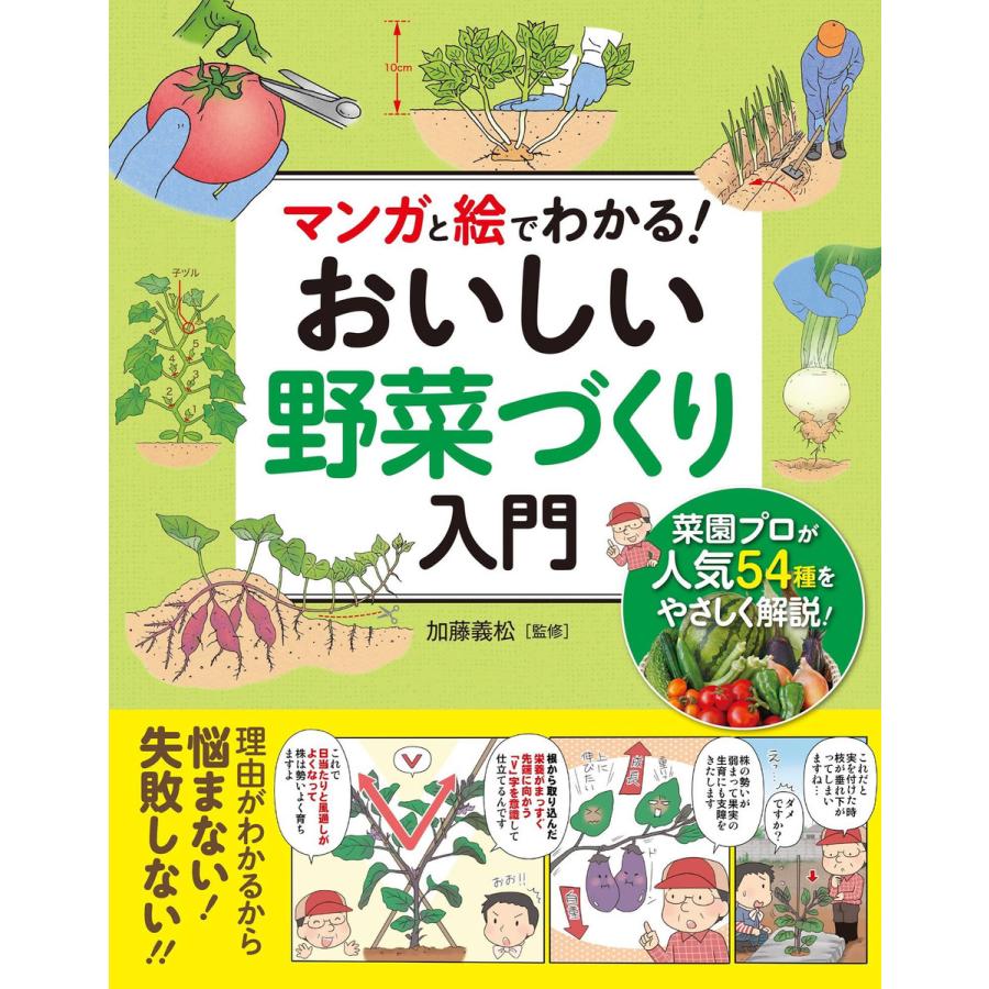 マンガと絵でわかる おいしい野菜づくり入門