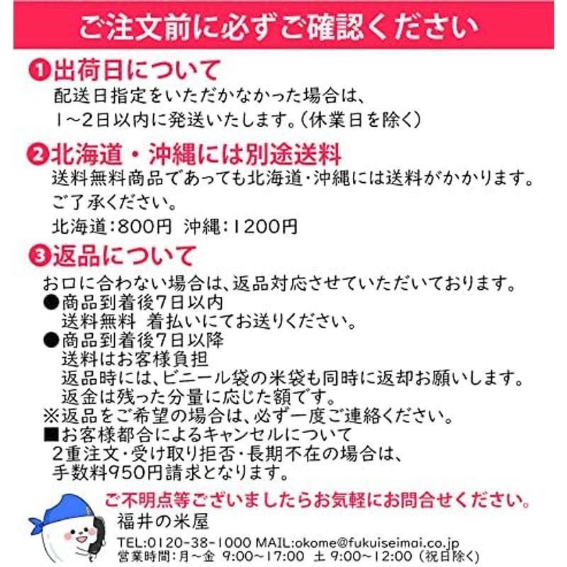 福井県産ピカツンタ 白米 令和4年産 限定品種 (5kg)