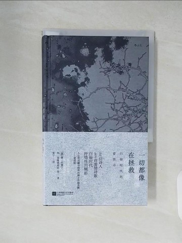 【書寶二手書T3／翻譯小說_XWT】一切都像在拯救：白銀時代的愛情詩_簡體_葉賽寧,瑪·茨維塔耶娃, 童寧