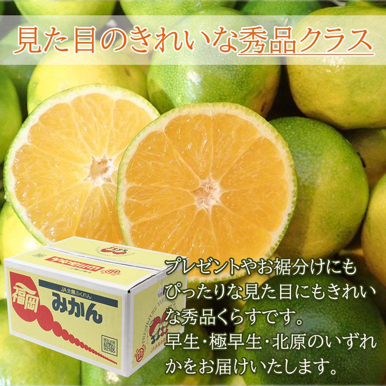 送料無料 秀品 家庭用 福岡県産 早生みかん 極早生みかん 北原みかん 福岡みかん 温州みかん 約 2kg みかん 国産 国産みかん ご家庭用