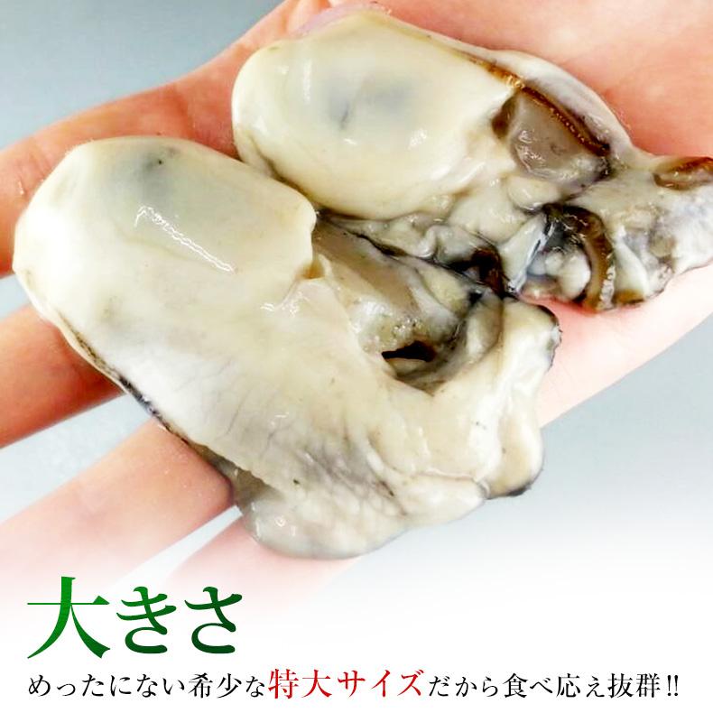 牡蠣 広島県産かき カキ むき身 大粒 1kg 冷凍 お取り寄せ 特大Lサイズ